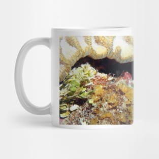 Red Night Shrimp Mug